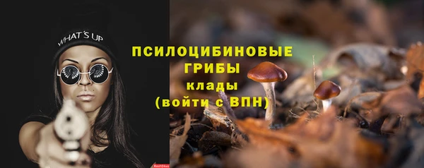 амф Богданович